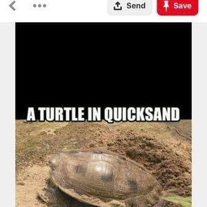 Meet your Posher, Christy